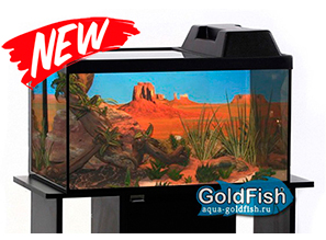 НОВИНКА! Акватеррариумы "GoldFish"! Уже в продаже!