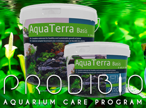 Питательные подложки AquaTerra Basis от PRODIBIO!