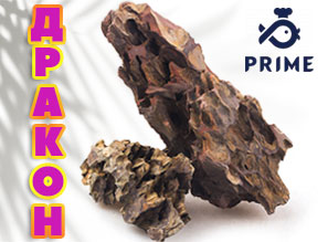 Натуральный камень "ДРАКОН" от PRIME!
