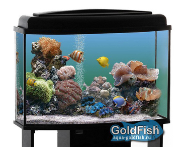 Аквариум "Телевизор"-100 GOLDFISH с крышкой (LED G13), 100 литров