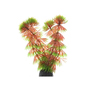 Пластиковое растение Кабомба красная 10см Barbus (Plant 033/10)