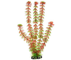 Пластиковое растение Кабомба красная 30см Barbus (Plant 033/30)