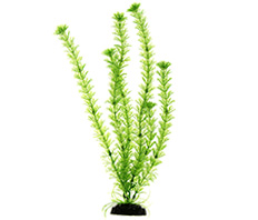 Растение пластиковое Амбулия красно-зеленая 40 см