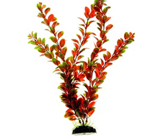 Растение пластиковое Людвигия красно-зеленая 50 см