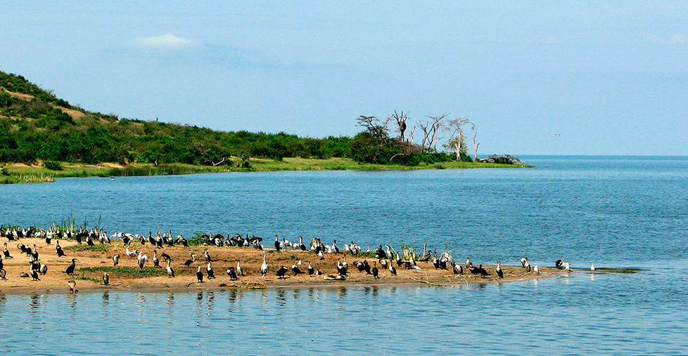 Озеро Джордж (Рутанзиге, Африка)