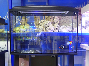 Новые панорамные аквариумные комплексы от GoldFish. Уже в продаже!