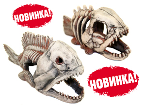 НОВИНКИ - Скелеты рыб "ЧЕЛЮСТИ" для украшения аквариума!