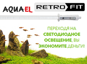 Энергосберегающие модули освещения LEDDY TUBE RETROFIT!