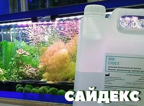 САЙДЕКС ПРОТИВ ВОДОРОСЛЕЙ - В НАЛИЧИИ!