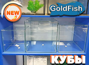 Кубические аквариумы GOLDFISH!