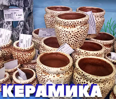 МНОГО СВЕТЛОЙ КЕРАМИКИ - УЖЕ В НАЛИЧИИ!