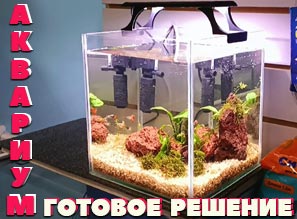 ГОТОВЫЙ аквариум 10 литров!