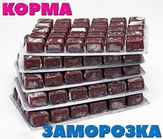 Заморозка для рыб ЭКОкорм - НОВОЕ ПОСТУПЛЕНИЕ!