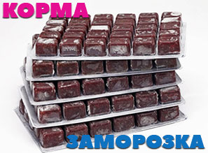 Заморозка для рыб ЭКОкорм - НОВОЕ ПОСТУПЛЕНИЕ!