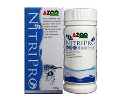 AZOO NitriPro 100 г / Концентрированная бактериальная культура "НИТРИПРО"