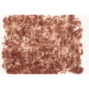 Tetra FreshDelica Brine Shrimps 80 г