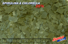 Корм Биодизайн SPIRULINA & CHLORELLA 25% 200 мл (весовой) / Растительные хлопья для рыб