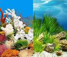 Фон двусторонний "Растения белый/Кораллы голубой" (h - 60 см), пог.дм.