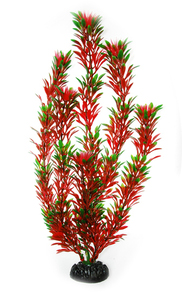 Растение пластиковое Арычник 80 см красно-зеленый