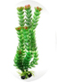Растение пластиковое Болотник 80 см
