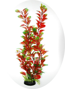 Растение пластиковое Людвигия красно-зеленая 80 см
