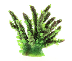 Коралл Vitality пластиковый (мягкий) зеленый 12.6x10.7x11 см, SH059G