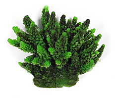 Коралл Vitality пластиковый (мягкий) зеленый 11.5x10x9 см, SH095G