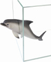 PRIME "Дельфин на магнитах" 345 x 75 x 120 мм