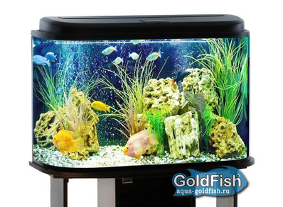 Аквариум "Оазис"-120 GOLDFISH с крышкой (LED G13), 120 литров