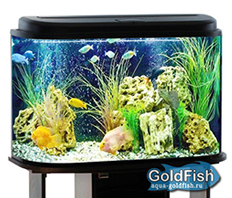 Аквариум "Оазис"-120 GOLDFISH с крышкой (LED G13), 120 литров