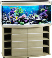 Biodesign Altum Panoramic 300 беленый дуб