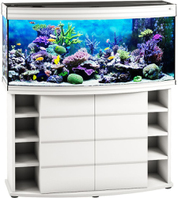 Biodesign Altum Panoramic 300 белый