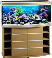 Biodesign Altum Panoramic 300 бук