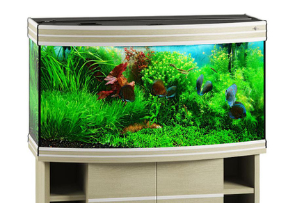 Аквариум Biodesign Altum Panoramic 200 беленый дуб