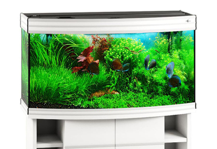 Аквариум Biodesign Altum Panoramic 200 белый