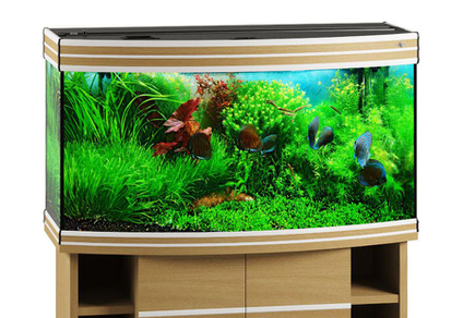 Аквариум Biodesign Altum Panoramic 200 бук