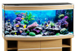 Аквариум Biodesign Altum Panoramic 300 бук