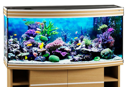 Аквариум Biodesign Altum Panoramic 300 бук