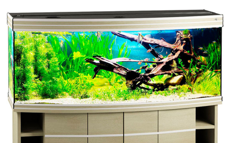 Аквариум Biodesign Altum Panoramic 450 беленый дуб