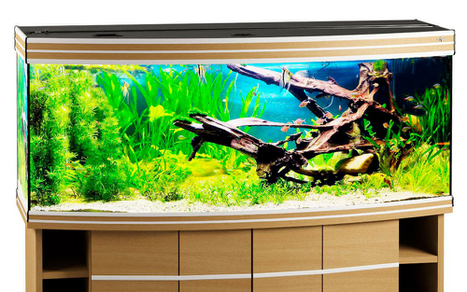 Аквариум Biodesign Altum Panoramic 450 бук