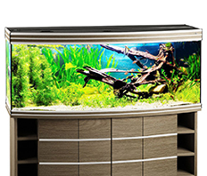 Аквариум Biodesign Altum Panoramic 450 (450 литров)