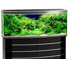 Аквариум Biodesign Altum Panoramic 700 (680 литров)
