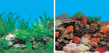 Фон "Кораллы/Растительный" 50x100 см двухсторонний для аквариума (9001/9003)