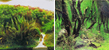 Фон "Коряги с растениями/Растительные холмы" 50x100 см двухсторонний для аквариума (9084/9085)