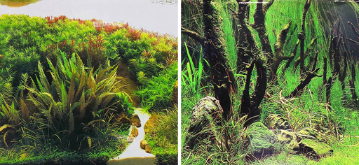 Фон "Коряги с растениями/Растительные холмы" 50x100 см двухсторонний для аквариума (9084/9085)