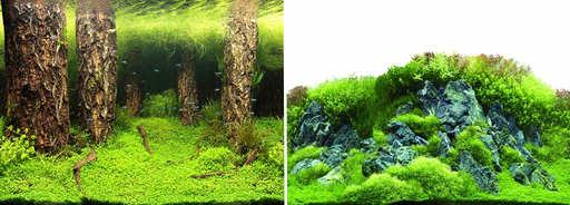 Фон для аквариума двухсторонний "Затопленный лес/Камни с растениями" 50x100 см (9086/9087)