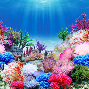 Фон "Коралловый рай/Подводный пейзаж" 50x100 см двухсторонний для аквариума (9099/9031)