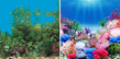 Фон "Коралловый рай/Подводный пейзаж" 50x100 см двухсторонний для аквариума (9099/9031)