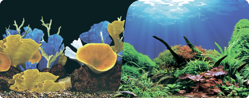 Фон "Морские кораллы/Подводный мир" 50x100 см двухсторонний для аквариума (9096-1/9097)
