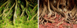 Фон "Корни с мхом/Корни с листьями" 50x100 см двухсторонний для аквариума (8009/8010)